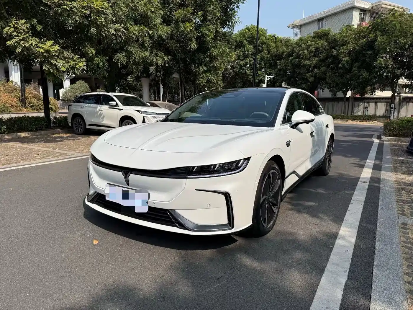 Voyah Passion 2023 2023 4WD Flagship Edition