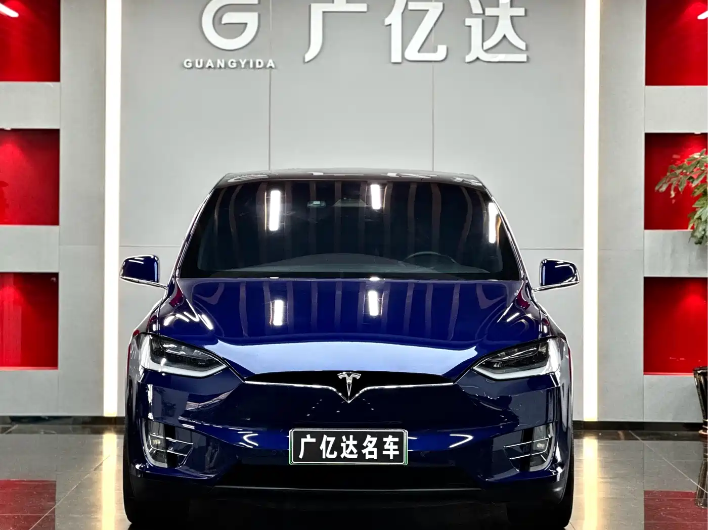 TESLA MODEL X