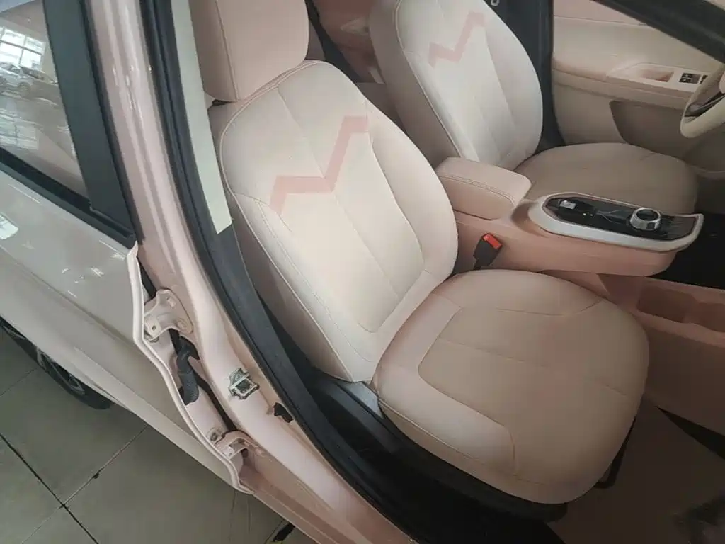 صورة 25 - Changan Oshan Benben E-Star