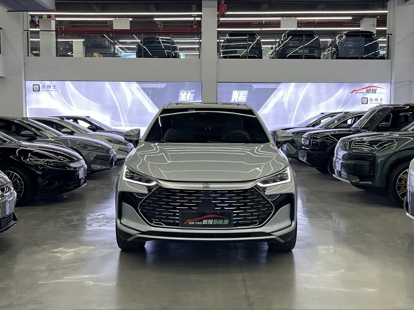 BYD Tang New Energy 2024 DM-i Honor Edition 112KM Premium фото 2
