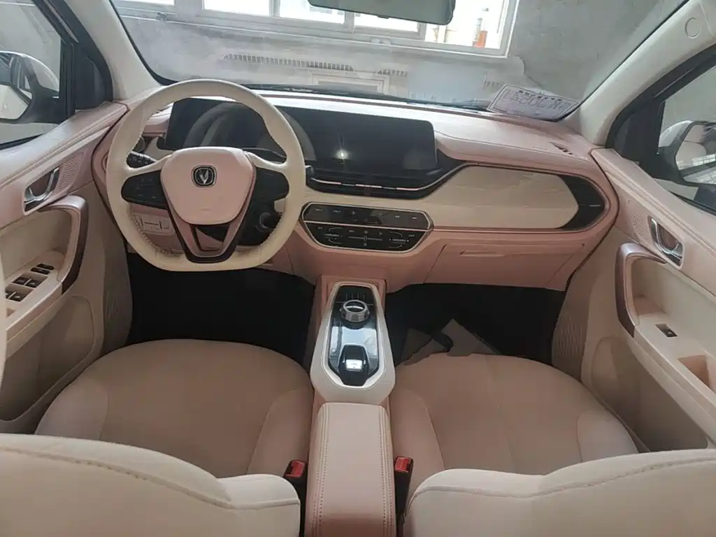 صورة 10 - Changan Oshan Benben E-Star