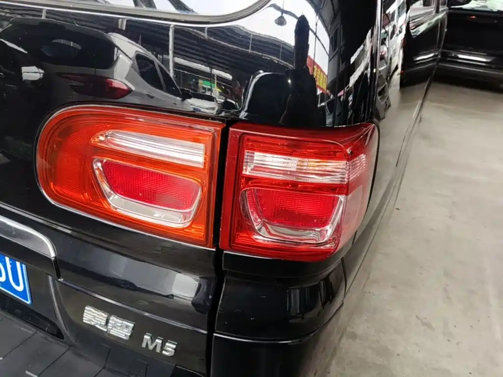 صورة 8 - Dongfeng Fengxing Lingzhi