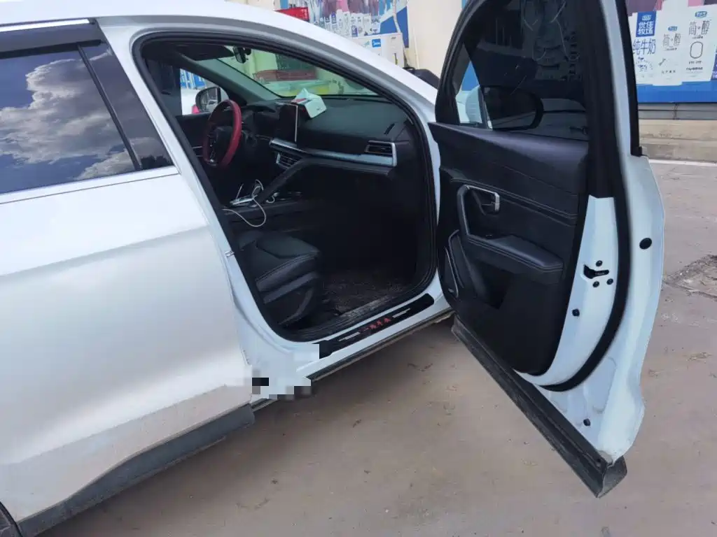 BYD Song Pro 2021 2019 1.5T Automatic Luxury