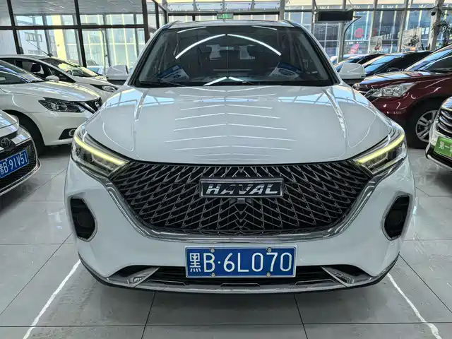 HAVAL M6