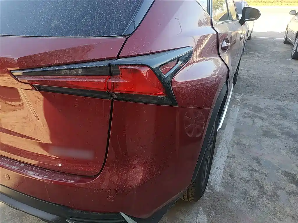 Lexus NX 2018 Model 200 FWD Fengxing Edition China V фото 24
