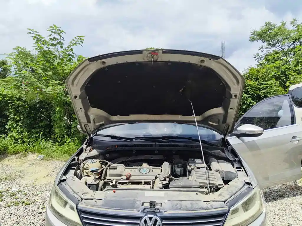 صورة 3 - Volkswagen Sagitar
