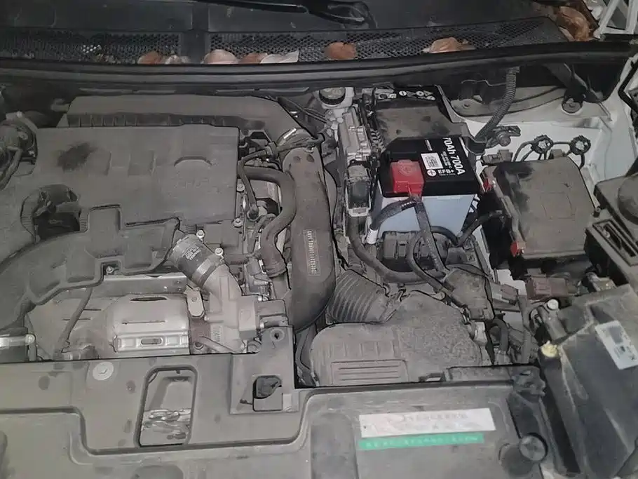 Peugeot 4008 2019 2019 350THP Pioneer Version