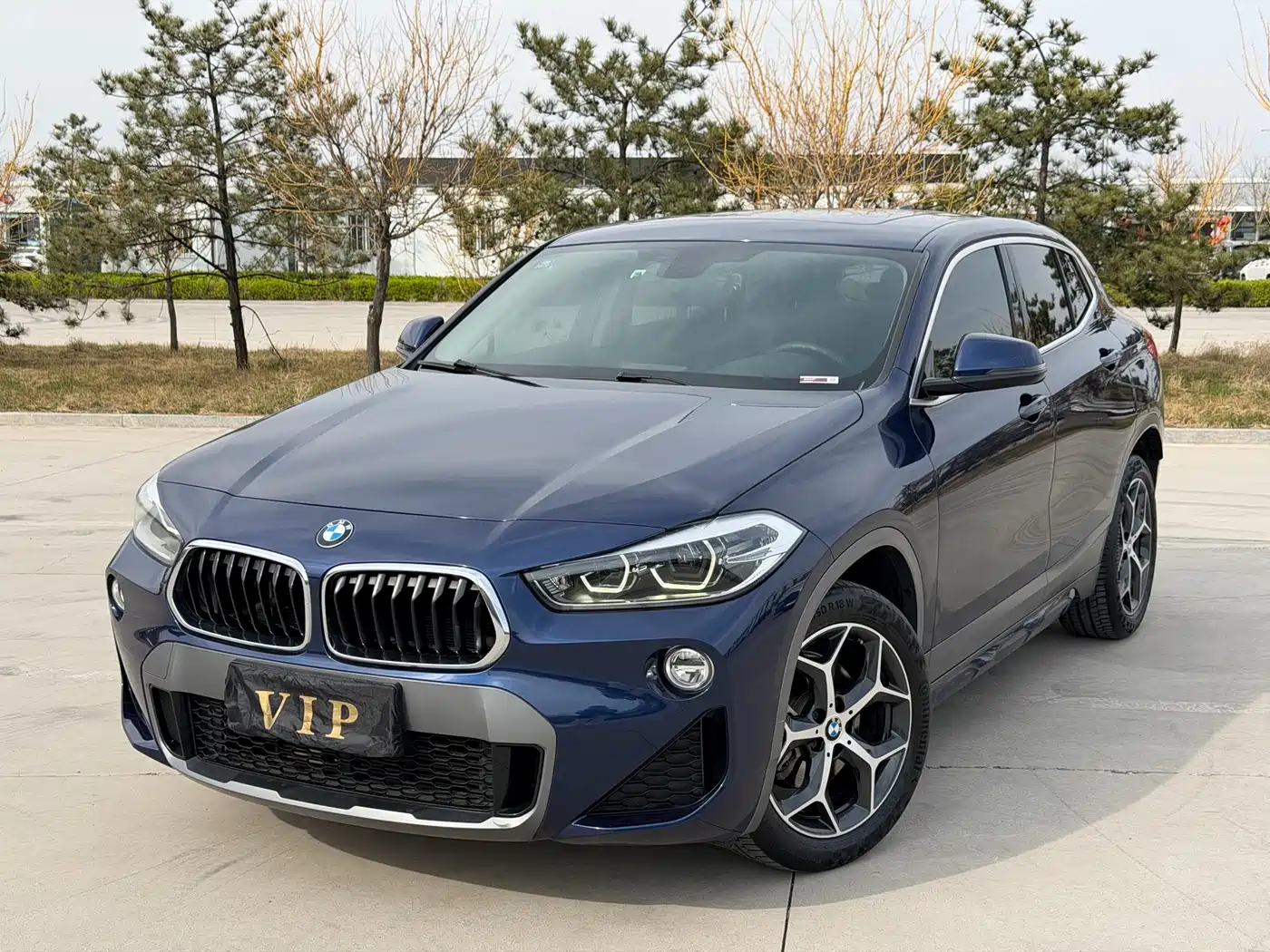 BMW X2 (Import) 2019 sDrive20i M Off-Road Package China VI