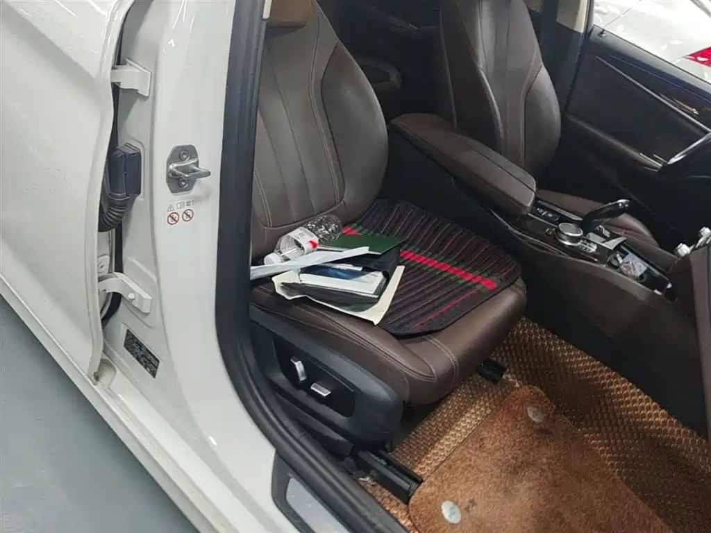 BMW 5 Series 2019 525Li Luxury Package фото 24