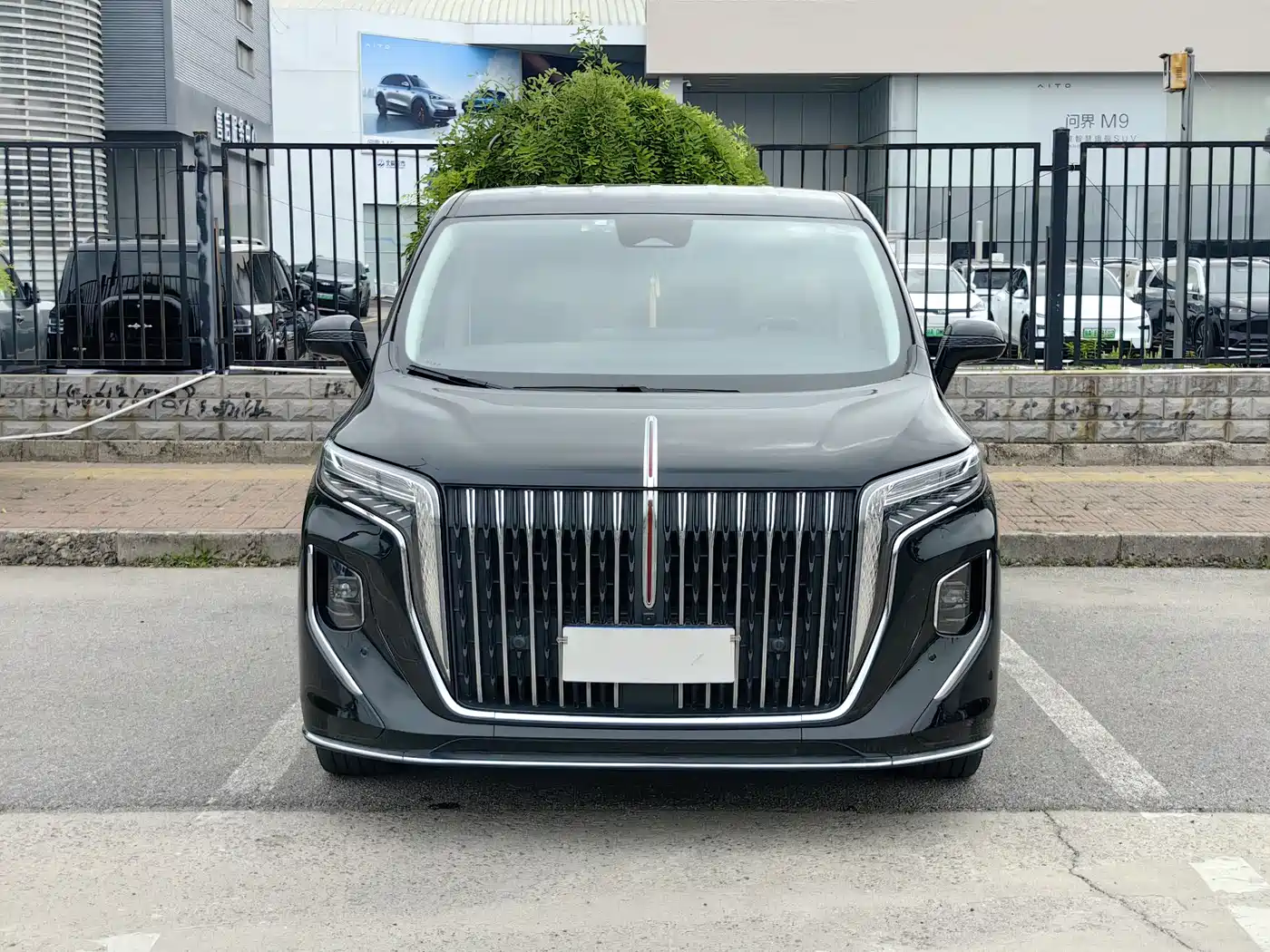 Hongqi HQ9 2023 2.0T Smart Connect Flagship фото 2