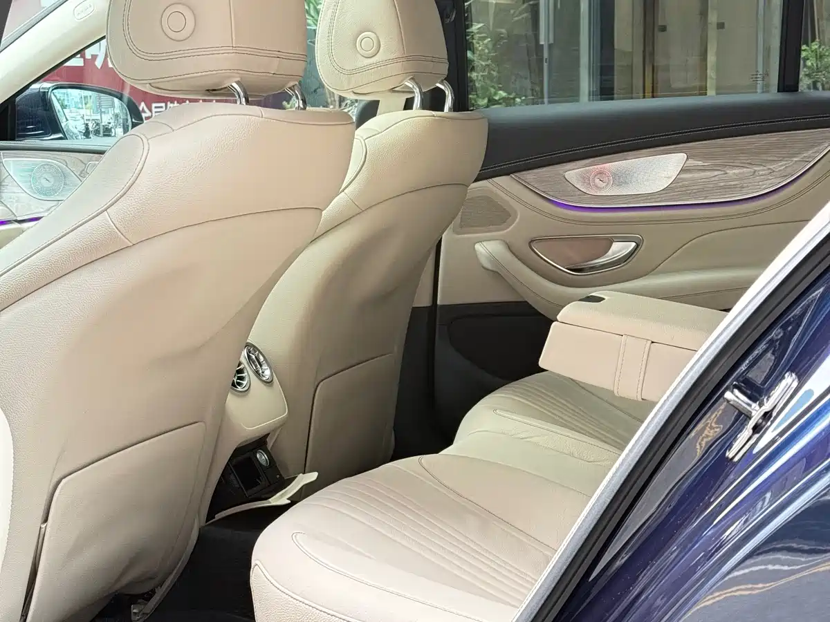 Mercedes-Benz CLS 2018 CLS 300 Luxury фото 19