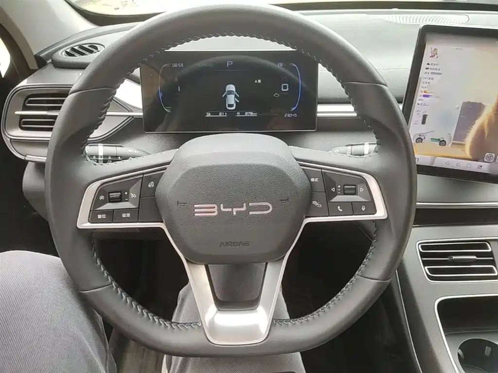 BYD Destroyer 05 2024 Glory Edition DM-i 55KM Luxury фото 11