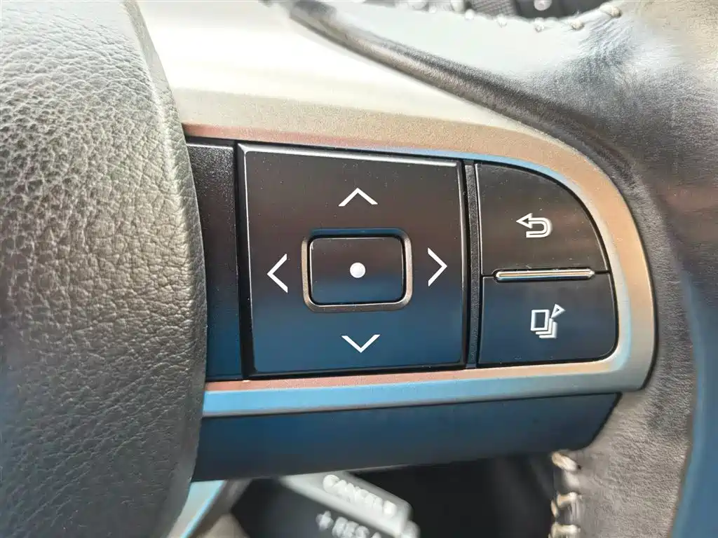 Lexus RX 2016 300 2WD Elite Edition (China V) фото 25
