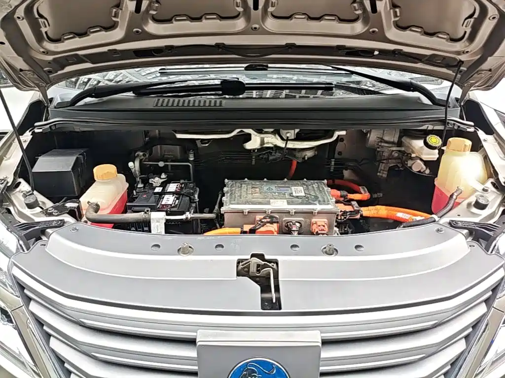 Dongfeng Fengxing Lingzhi New Energy 2023 2022 Standard Luxury Model 7-Seater