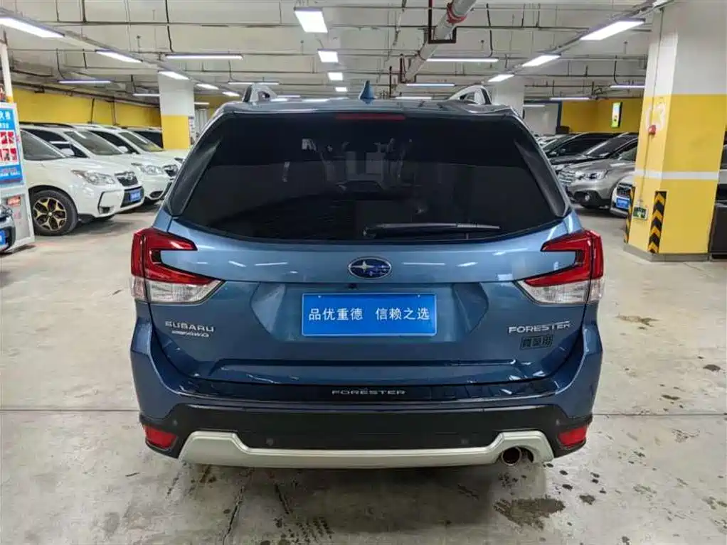 Subaru Forester 2019 2.0i Luxury Edition EyeSight фото 7