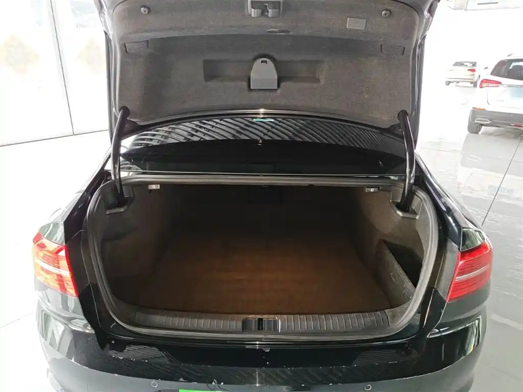 Volkswagen Magotan 2018 330TSI DSG Luxury фото 19