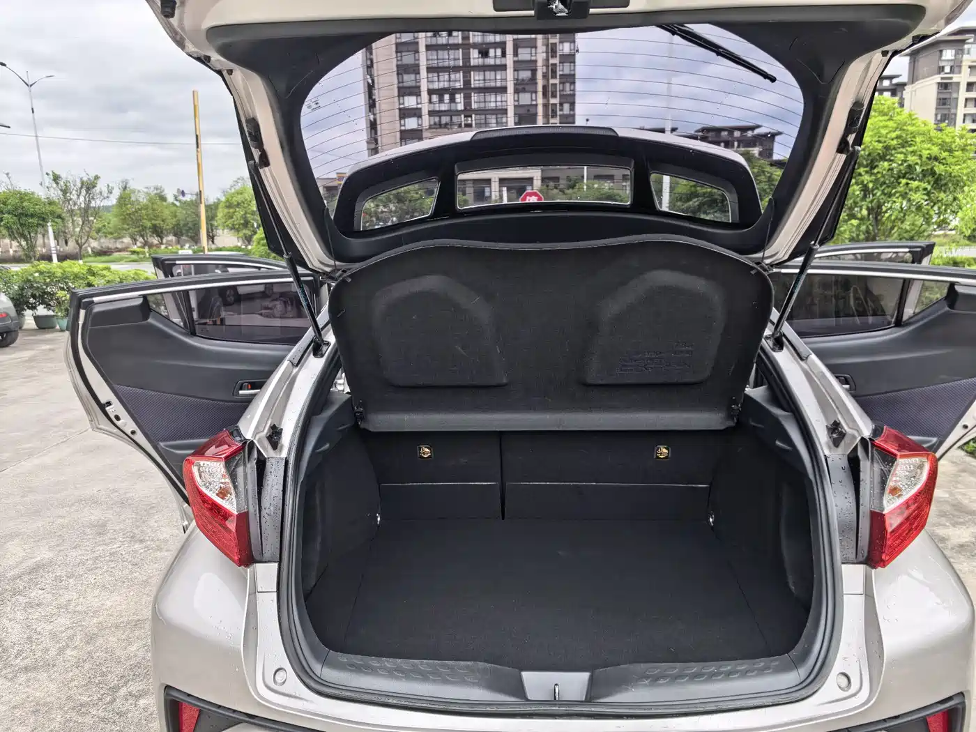 Toyota C-HR 2020 Model 2.0L Cool Cross Leading фото 13