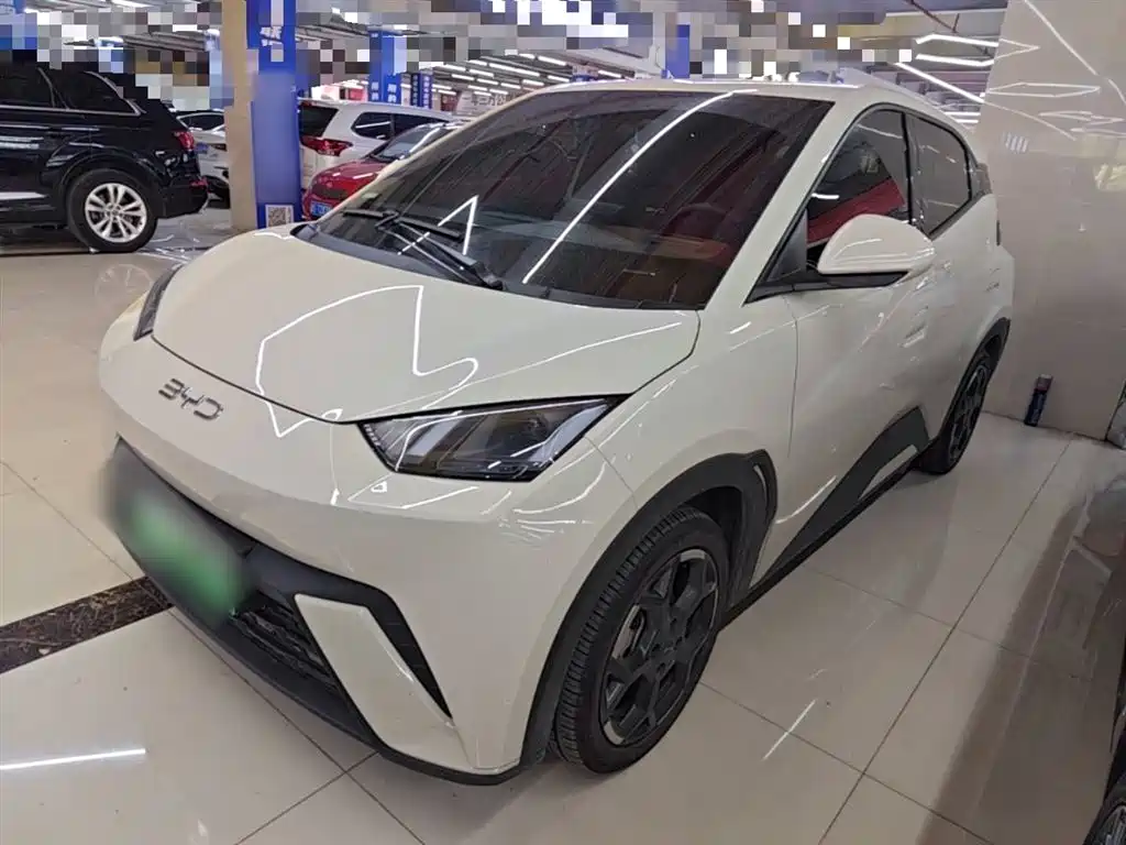 BYD Seagull 2025