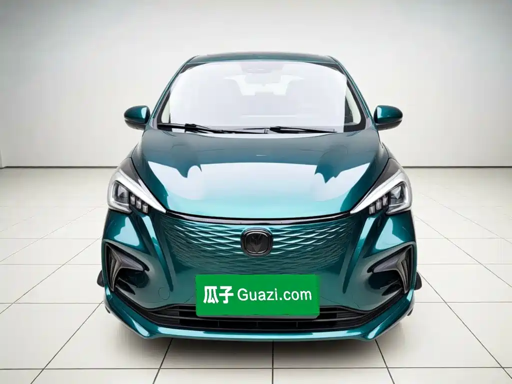 Фото 2 - Changan Benben E-Star