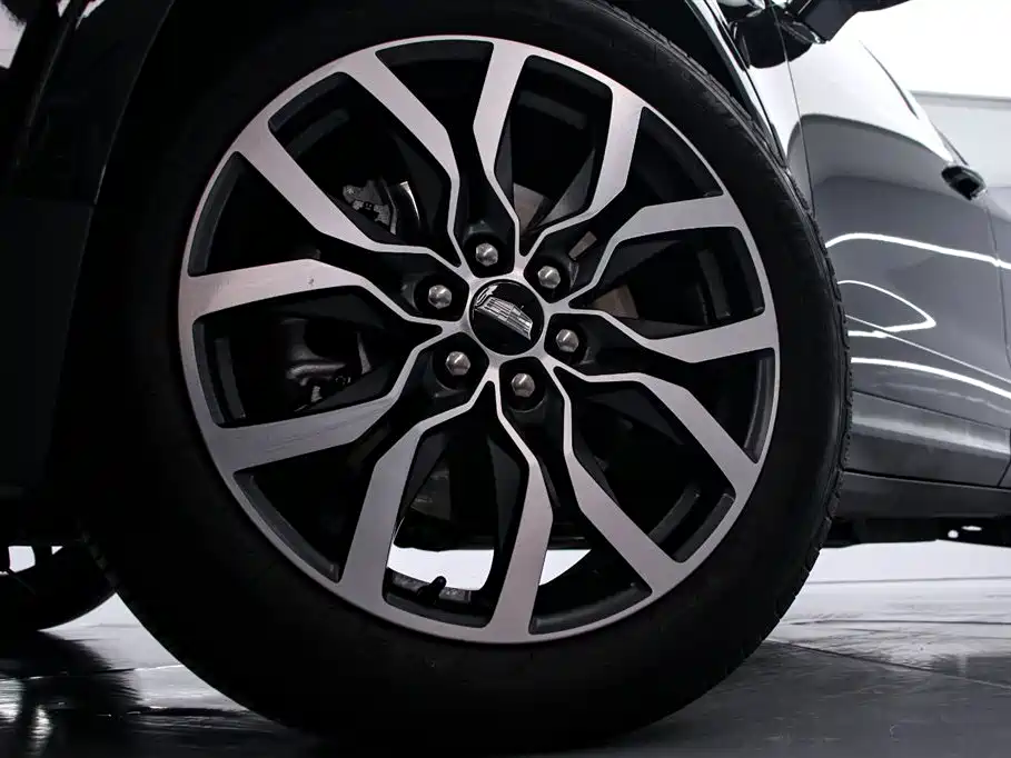 Cadillac XT5 2024 2.0T AWD Luxury (Hummingbird Edition) фото 16
