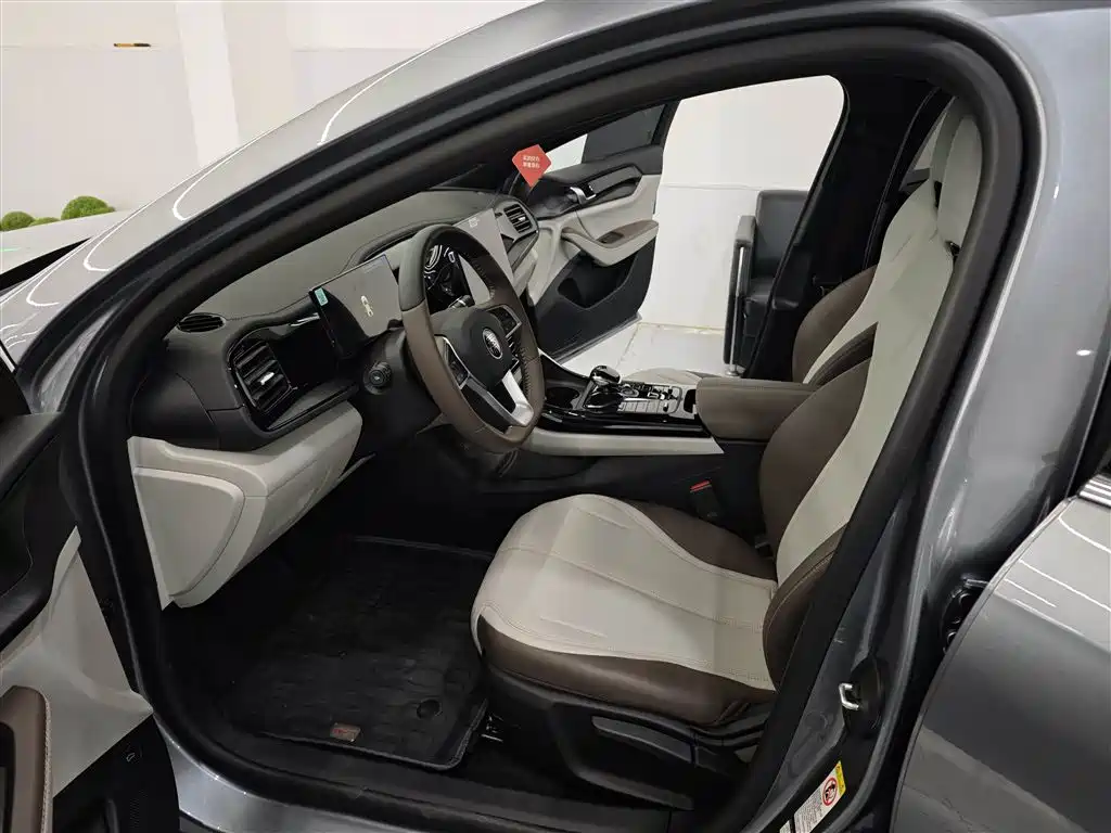 BYD Qin PLUS 2024 Glory Edition DM-i 55KM Leading фото 5