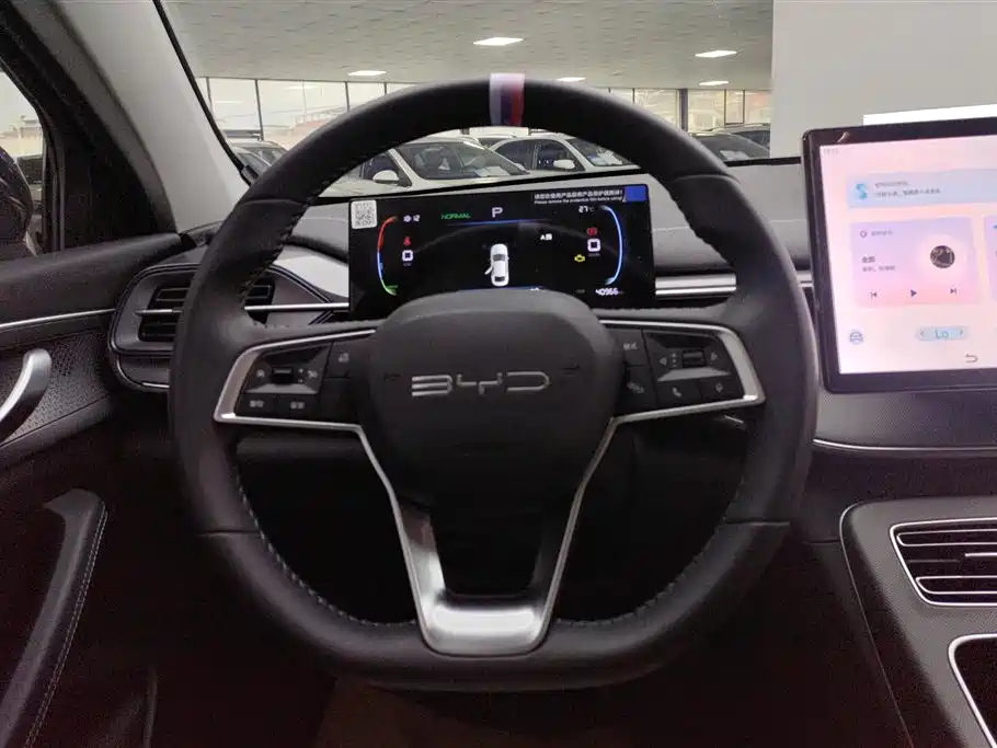 BYD Destroyer 05 2024 Glory Edition DM-i 55KM Luxury фото 14