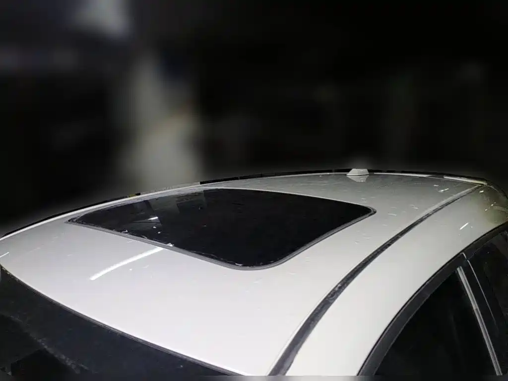 Toyota IZOA 2022 2021 Hybrid 2.0L Yixiang Edition