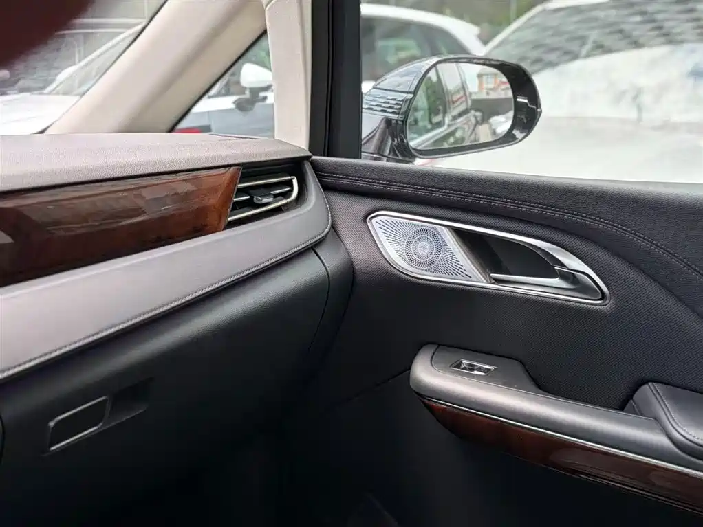Hongqi HQ9 PHEV 2024 Model 2.0T AWD Luxury Edition фото 20