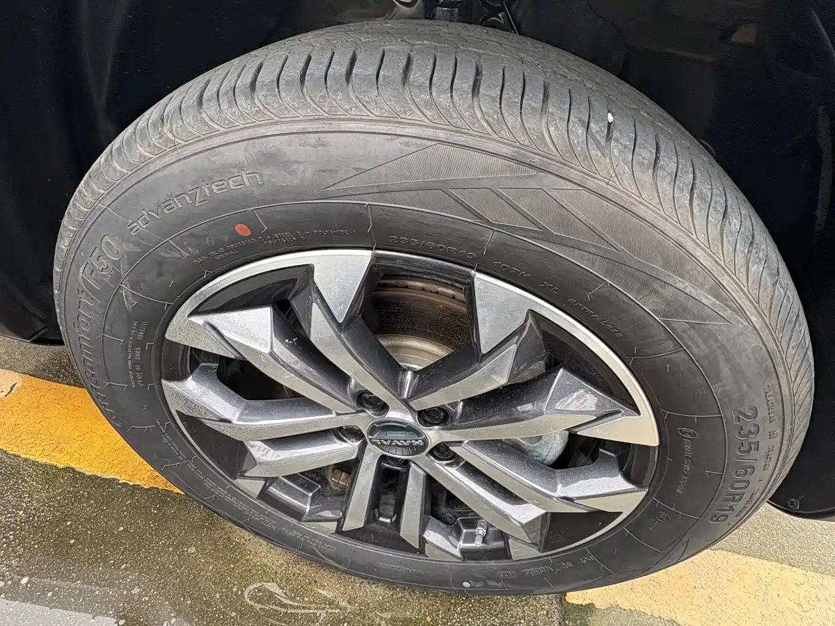 Haval Big Dog 2024 1.5T DCT Border Collie Edition фото 5