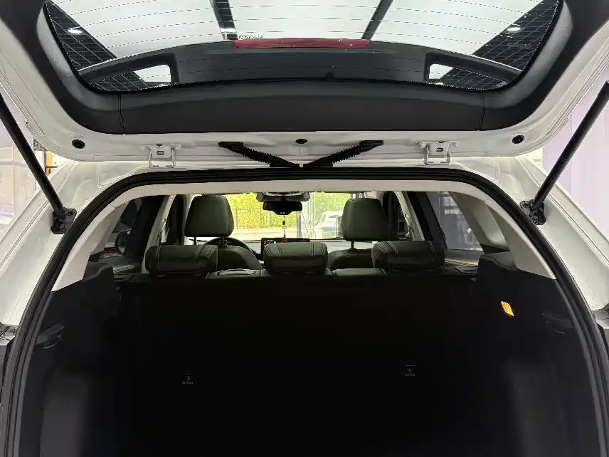 Haval H6 2021 1.5GDIT Automatic Champion Edition фото 20