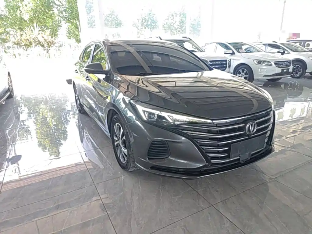 Фото 4 - Changan Eado