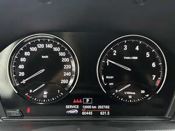 BMW X2 (Import) 2019 2019 sDrive20i M Off-Road Package China VI