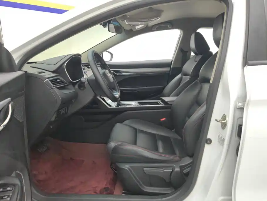 Фото 9 - Geely Binrui
