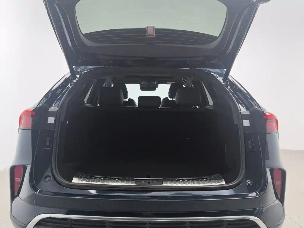 WEY Mocha 2021 2021 2.0T 2WD Extra Rich Edition