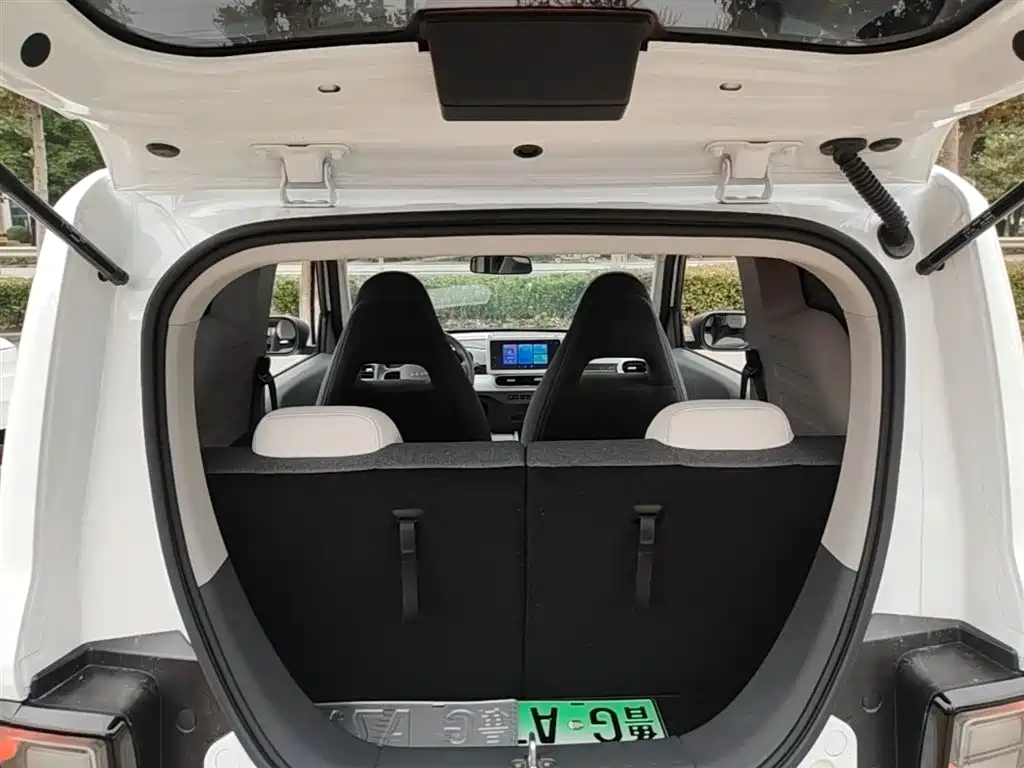 Geely Galaxy Panda 2025 Panda mini 210km Vitality Bear фото 19
