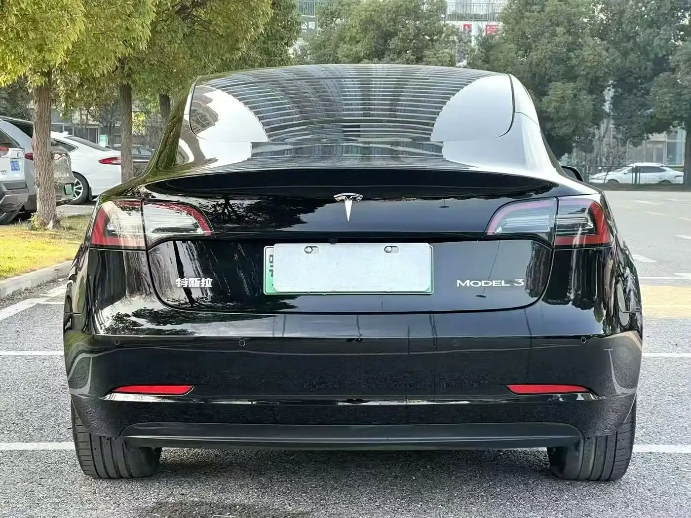 TESLA MODEL 3