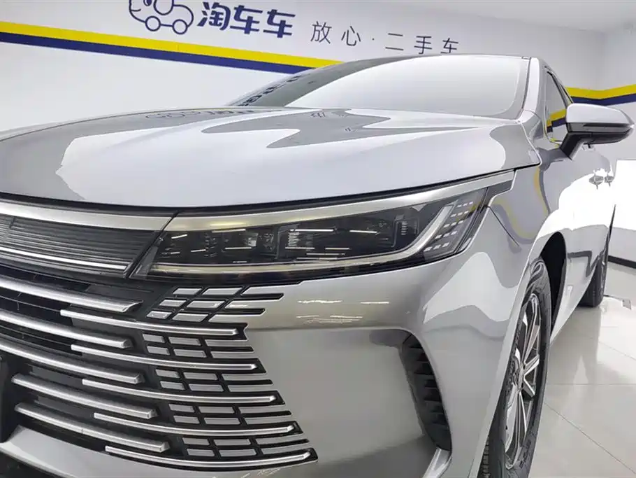 BYD Destroyer 05 2024 2023 Champion Edition DM-i 55KM Luxury