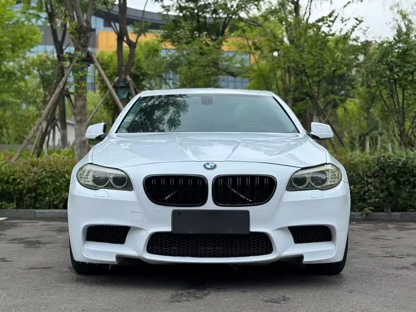 BMW 5 Series 2011 523Li Leading фото 2