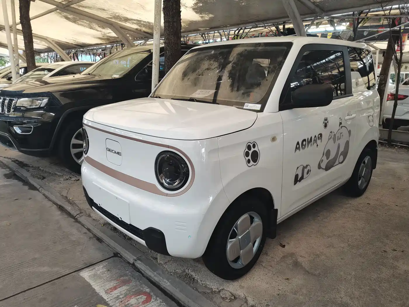 Фото 1 - Geely Galaxy Panda