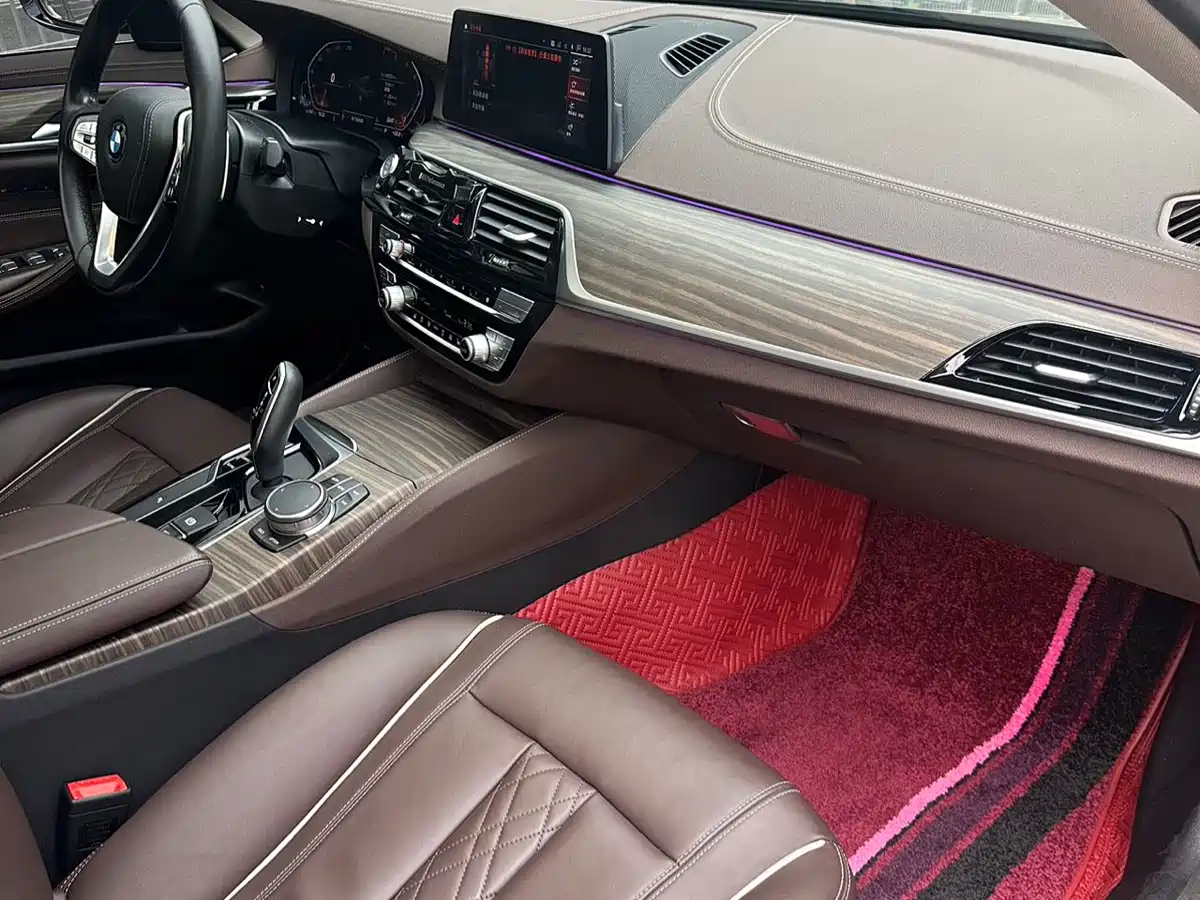 BMW 5 Series 2020 530Li Leading Luxury Package фото 12