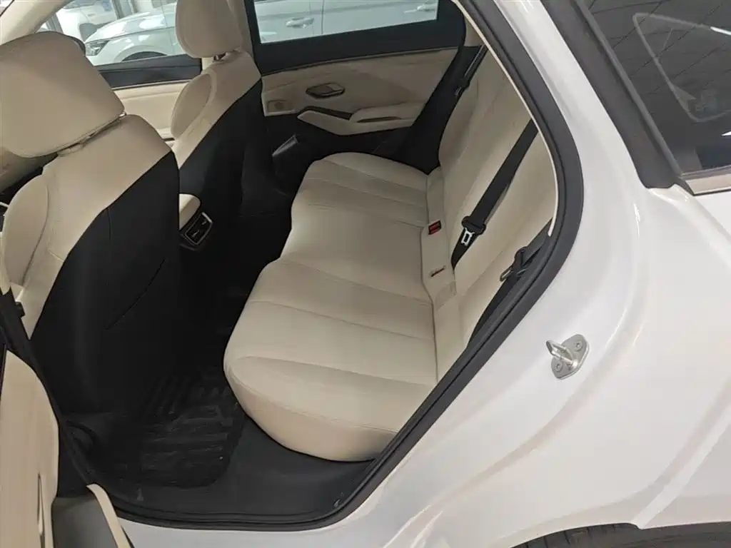 BYD Qin L 2024 DM-i 80KM Leading Edition фото 17