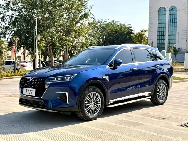  Venucia Venucia Star 2020 260T Automatic Star Fashion Edition