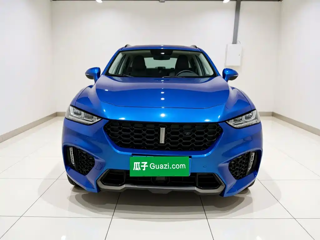WEY VV7 2018 2017 2.0T Luxury