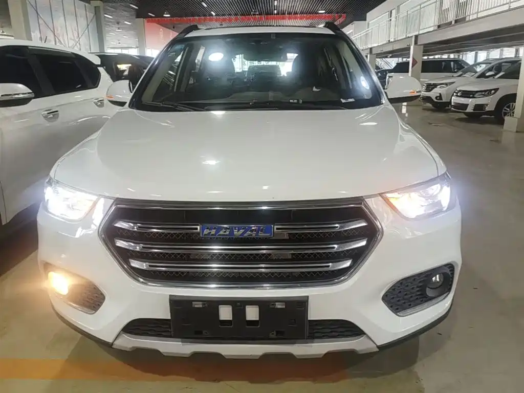 Haval H6 2017 Blue Label Sport 1.5T Auto 2WD Luxury фото 3