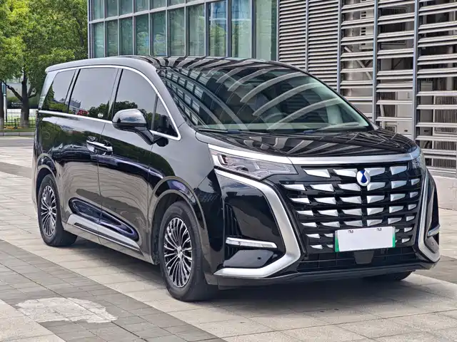 Denza D9 2022 DM-i 970 All-Wheel Drive Honor Edition — фото 3