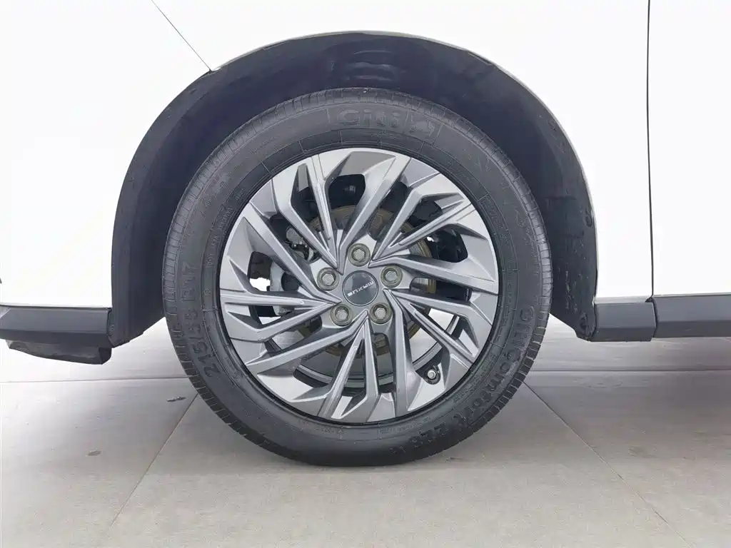 SAIC MAXUS CHASE G50