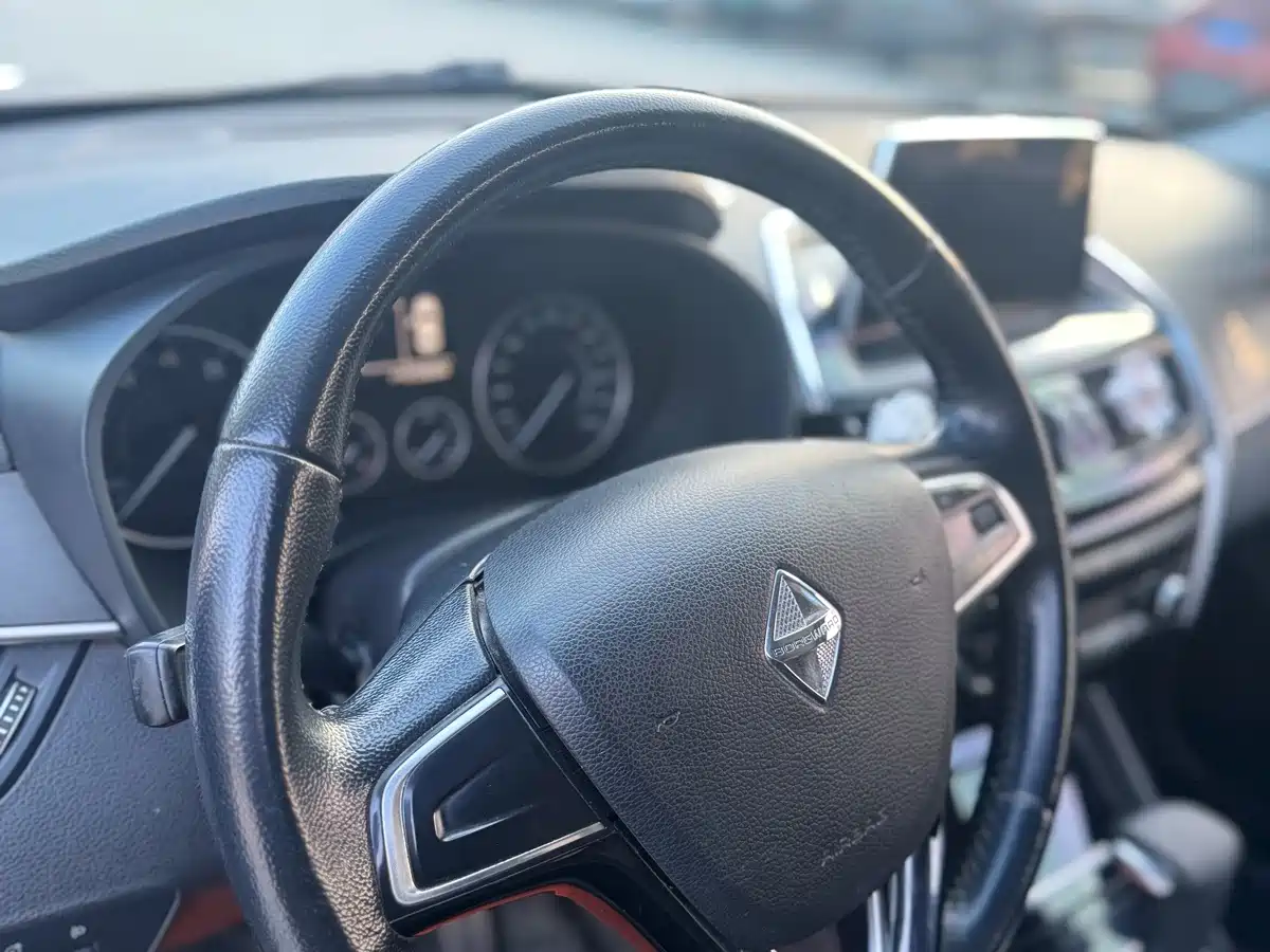 Photo 12 - Borgward BX5
