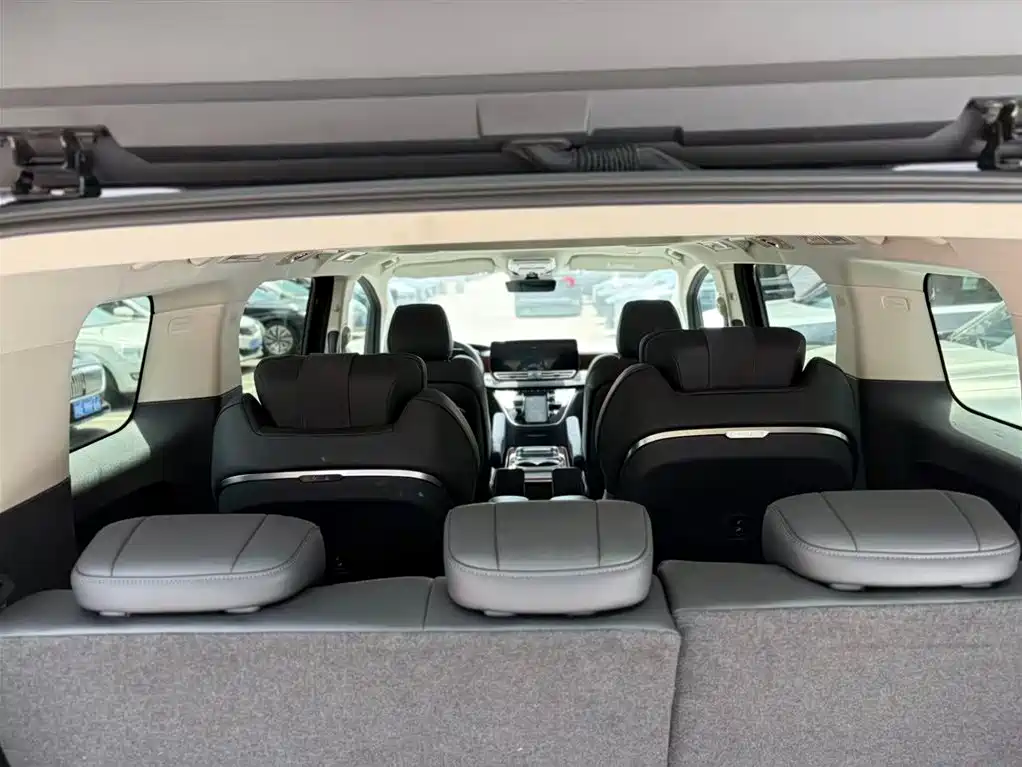 Hongqi HQ9 PHEV 2024 Model 2.0T AWD Luxury Edition фото 10