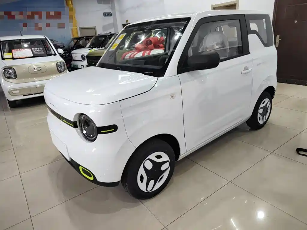 Geely Galaxy Panda 2026 2025 Panda mini 210km Vitality Bear