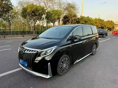 Trumpchi M8